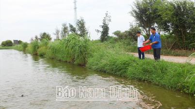 Chuyển đổi số ngân hàng hỗ trợ phát triển kinh tế tư nhân