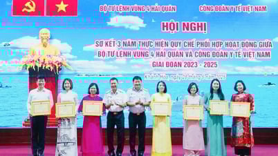 Resumen de 3 años de coordinación entre la Región Naval 4 y el Sindicato Médico de Vietnam