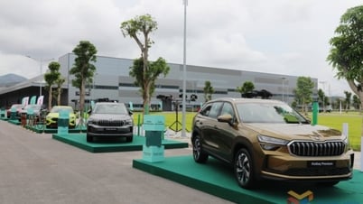 Skoda giới thiệu và công bố giá bán sản phẩm đầu tiên