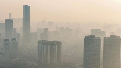 El pensamiento de protección ambiental en el desarrollo urbano