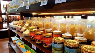 Phát triển các cửa hàng trưng bày, giới thiệu sản phẩm OCOP
