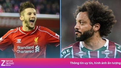 10 tên tuổi giải nghệ trong năm 2025