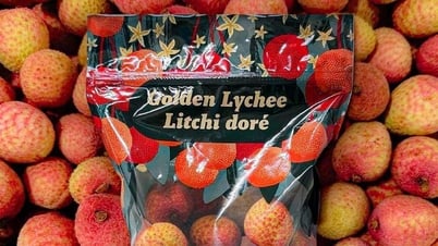 Bac Giang lychee appears at Costco - the American retail 'giant'