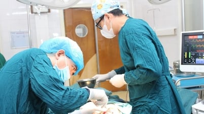 子どもの皮膚の黒い斑点は見た目に問題があるだけでなく、がんの潜在的なリスクももたらします。