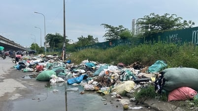 Décharge spontanée à ciel ouvert dans la rue la plus fréquentée de la capitale