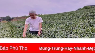បង្កើនប្រាក់ចំណូលរបស់ប្រជាជន