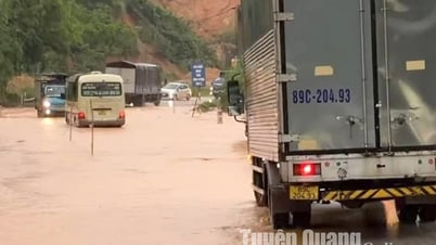 Mưa lớn gây ngập úng cục bộ ở nhiều nơi
