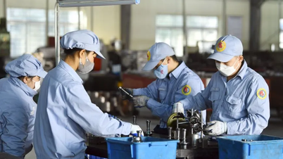 Chính phủ ban hành mức hỗ trợ cho người tham gia bảo hiểm xã hội tự nguyện