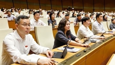 개발을 위한 제도 완성 - 과학기술부, 5대 중점법 제정으로 눈부신 성과 거두다