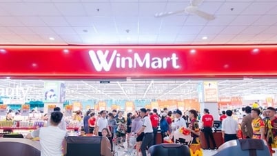 Catalysts for Retail Consumer Stocks to Peak in 2025