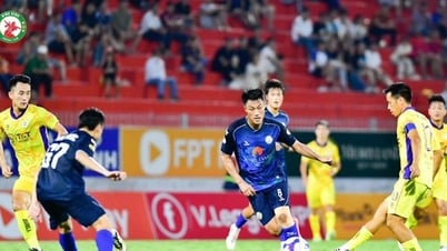 Finaliza la V.League 2024-2025: El problema persiste: "construir una casa desde los cimientos".