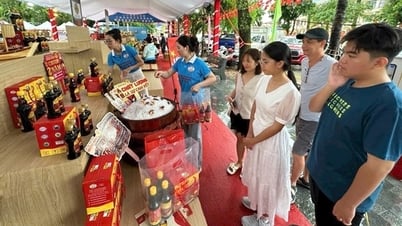 The first 100-year-old traditional Phu Quoc fish sauce festival in 2025