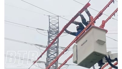 Électricité de Tien Hai : Assurer l'approvisionnement en électricité pendant la saison chaude