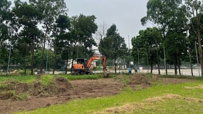 HLV Tây Ban Nha và Ninh Bình FC sắp được ‘tung hoành’ trên mặt sân cực đẹp