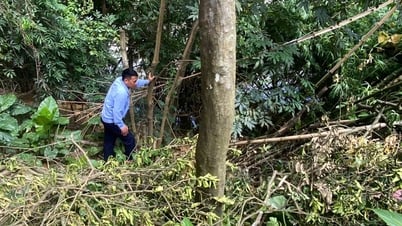 Hiep Hoa: ការបាក់ដីចំនួន 2 បានកើតឡើងនៅច្រាំងទន្លេ និងឆ្នេរនៅលើទំនប់ខាងឆ្វេងនៃ Cau