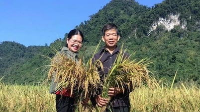 Cadres communaux après la fusion : prêts et proactifs dans l'adaptation