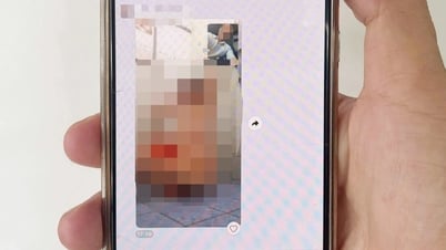 Kỷ luật hiệu trưởng gửi ảnh nhạy cảm vào nhóm Zalo của trường