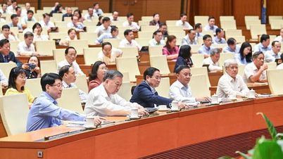 12 Nghị quyết được Quốc hội thông qua ngày 26/6