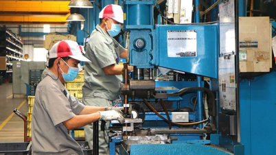 A partir del 1 de julio, se emitirá identificación electrónica a los representantes legales de empresas de IED que sean extranjeras en Dong Nai.