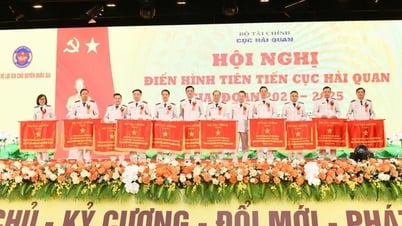 에뮬레이션 운동은 관세 부문의 개혁과 현대화에 적극적으로 기여합니다.