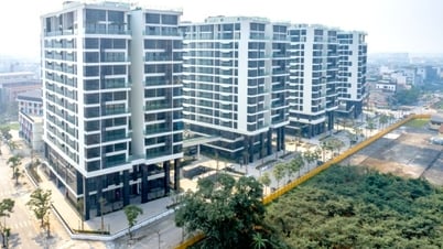 Sunshine Group diffuse en direct les prix des appartements le 1er juillet, à partir de 50 % du prix du marché