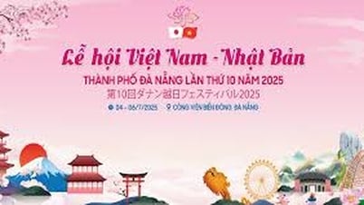 ពិធីបុណ្យវៀតណាម-ជប៉ុននៅទីក្រុង Da Nang ប្រព្រឹត្តទៅចាប់ពីថ្ងៃទី ៤ ដល់ថ្ងៃទី ៦ ខែកក្កដា