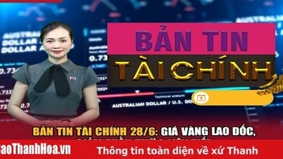 6월 28일 금융 뉴스: 금값 폭락, 2주 연속 하락