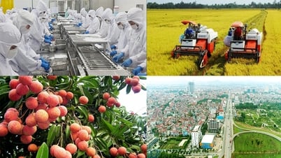 Thực hiện Đề án bổ sung về phát triển kinh tế - xã hội năm 2025 với mục tiêu tăng trưởng 8% trở lên
