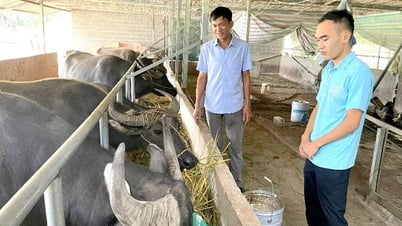 បើកទ្វារទៅពាក្យថ្មី។