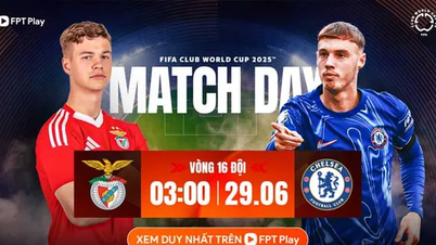 Pronostic Benfica - Chelsea, 03h00 29 juin : L'avantage des Blues