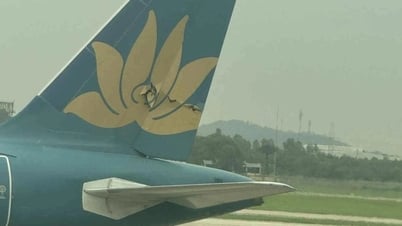 Deux avions de Vietnam Airlines entrent en collision à Noi Bai : 4 pilotes suspendus