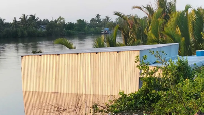 Cà Mau: Sạt lở nhấn chìm nhiều nhà dân