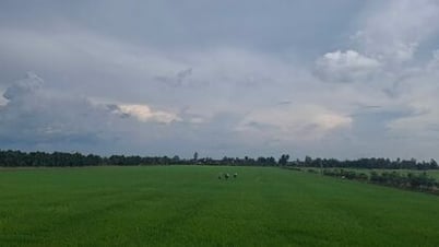 タインホア省、国境経済を発展させる