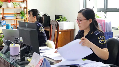 ចាប់ពីថ្ងៃទី 1-7 ការចាត់តាំងផ្លូវការនៃការត្រួតពិនិត្យឯកសារគយគឺដោយស្វ័យប្រវត្តិ។