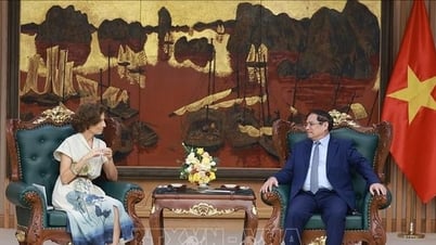 El Primer Ministro espera que la UNESCO promueva los valores fundamentales del pueblo vietnamita en el mundo.