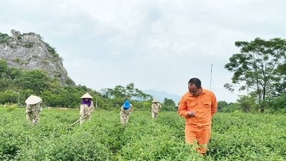 Phát triển sản phẩm OCOP từ tài nguyên bản địa
