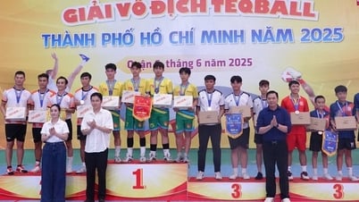 ホーチミン市テックボール選手権が成功裏に終了し、SEA Games 33への準備が整いました。