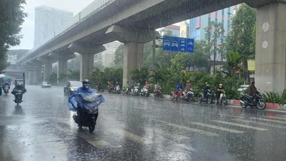 Clima hoy (29 de junio): Lluvias intensas localizadas en el Norte