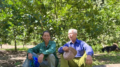 เรื่องราวของคู่สามีภรรยาชาวนาสูงอายุที่ขยันหมั่นเพียรปลูกต้นไม้ผลไม้ 10 ไร่เพื่อร่ำรวยบนภูเขาสูง