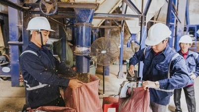 Hiệp định EVFTA: "Chìa khóa" để nông sản Đắk Lắk chinh phục thị trường EU