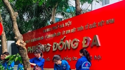 Phường Đống Đa (mới) hoàn thành công tác chỉnh trang đường phố, trụ sở
