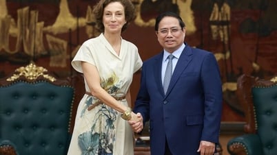 Tổng Giám đốc UNESCO: Sẵn sàng cùng Việt Nam chia sẻ tầm nhìn chiến lược về văn hóa ra thế giới