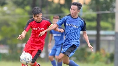 Gần 5.000 cầu thủ thi đấu giải phong trào sau sát nhập