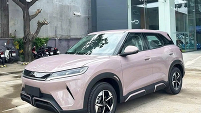 BYD Atto 2はベトナムで約7億台販売される予定だ