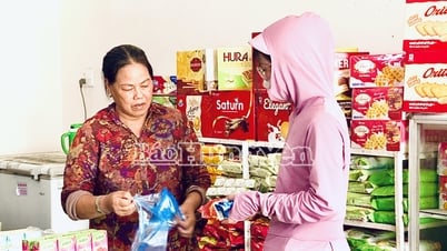 Người dân xã Cẩm Ninh sử dụng hiệu quả tiền bồi thường, hỗ trợ thu hồi đất để phát triển kinh tế