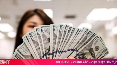 USD exchange rate today June 29, 2025: Basically stable
