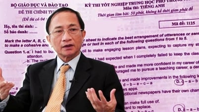 Đề thi tiếng Anh THPT 2025: Lệch chuẩn đầu ra, đánh đổi vì mục tiêu “kép”?