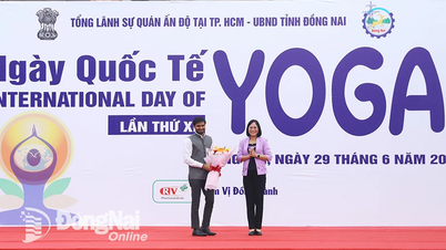Hơn 800 người tham dự Ngày Quốc tế Yoga lần XI tại Đồng Nai