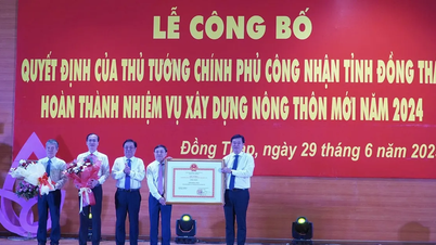 Đồng Tháp có 100% xã đạt chuẩn Nông thôn mới
