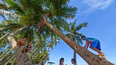 Yên bình những làng biển xứ Quảng